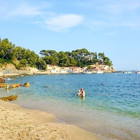 T2 Cosy Toulon, Proche Plage Bagian luar foto